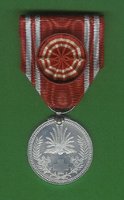 Special Membership medal