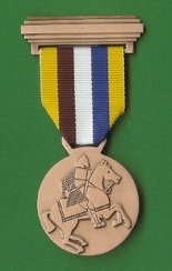 Bronze medalje for første års deltagelse