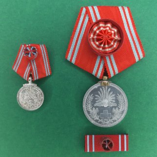 Special Membership Medal