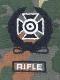 Expert M16A2 Rifle Qualification
