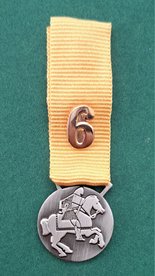 Medalje for sjette års deltagelse