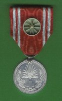 Life Membership medal